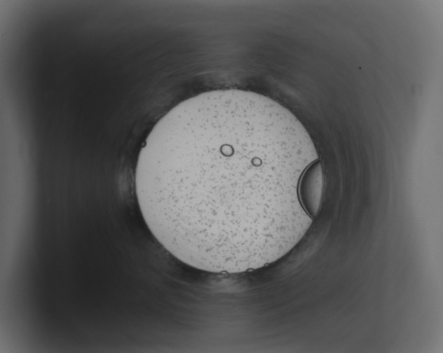 X0000100350624200806271403