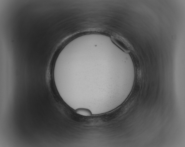 X0000100350628200806271402