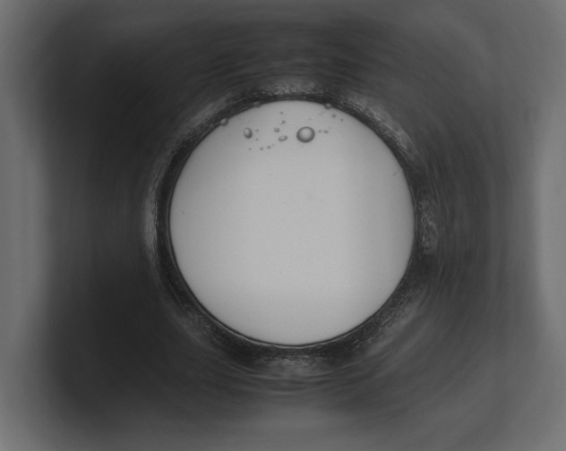 X0000100350631200806271402