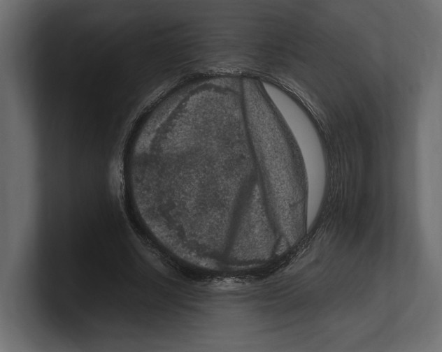 X0000100350634200806271403