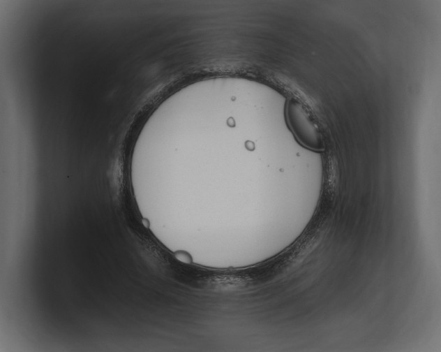 X0000100350636200806271403