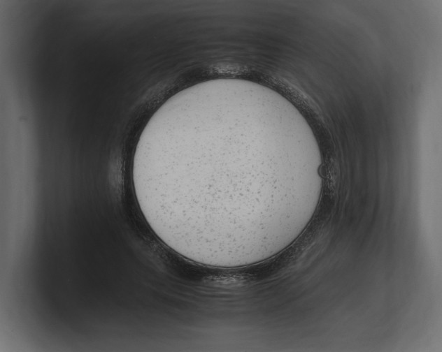 X0000100350639200806271403