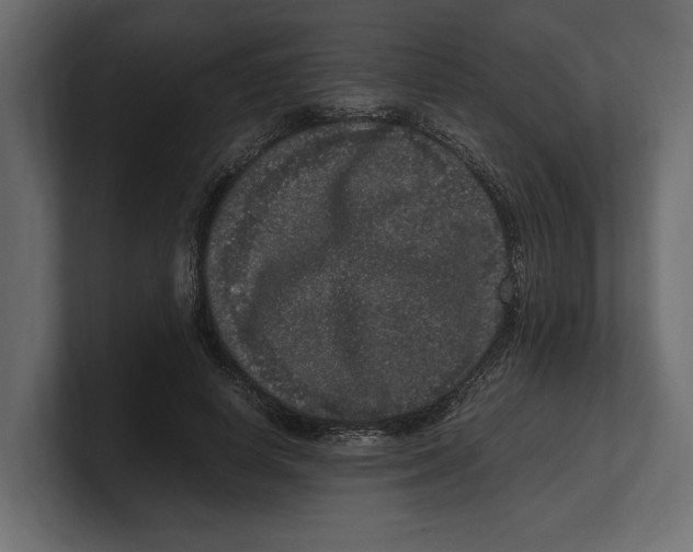 X0000100350642200806271403