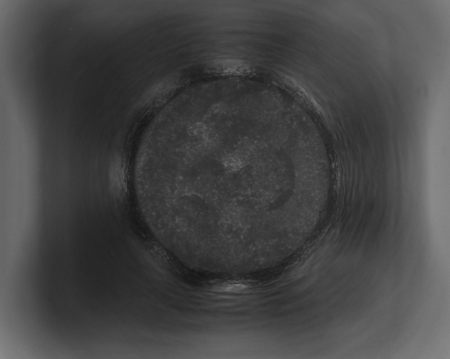 X0000100350643200806271403