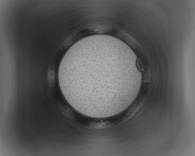 X0000100350646200806271403