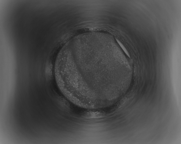 X0000100350650200806271403