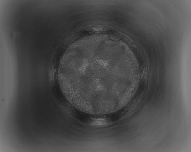 X0000100350651200806271403