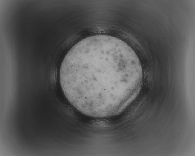 X0000100350652200806271403