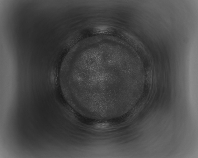 X0000100350653200806271403