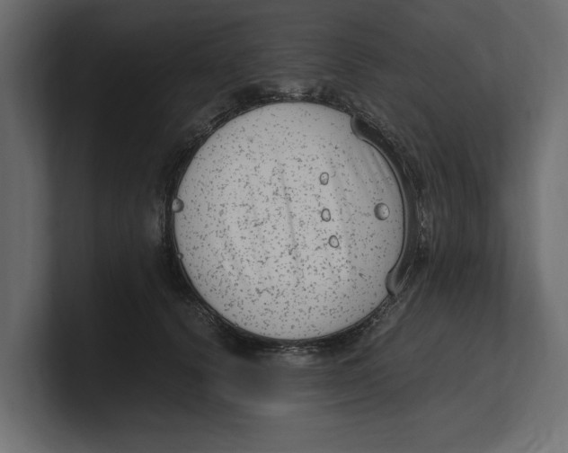 X0000100350656200806271403