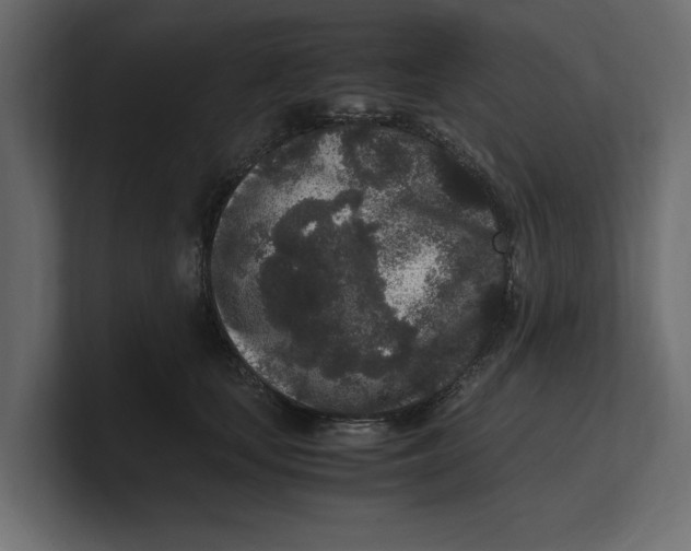 X0000100350659200806271403