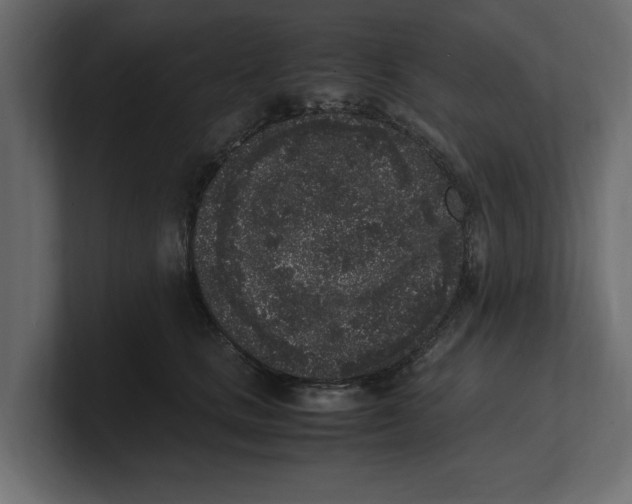 X0000100350661200806271403