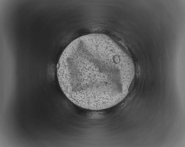 X0000100350664200806271403