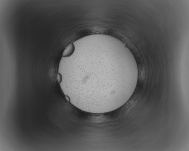 X0000100350666200806271403