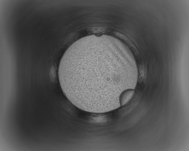 X0000100350667200806271403