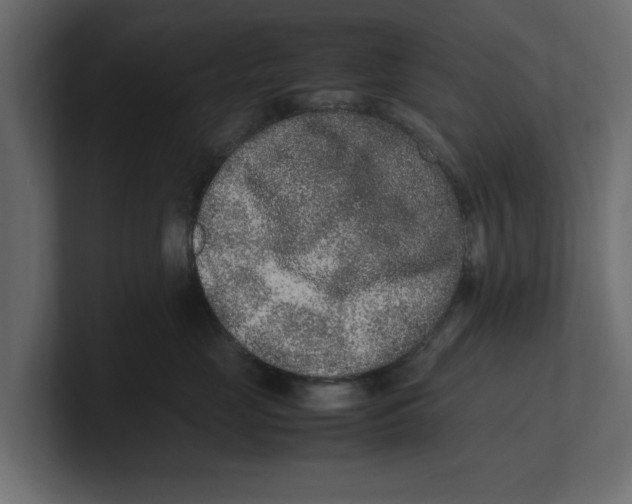 X0000100350669200806271403