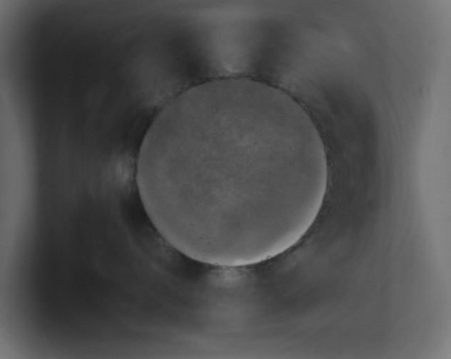 X0000100350672200806271403