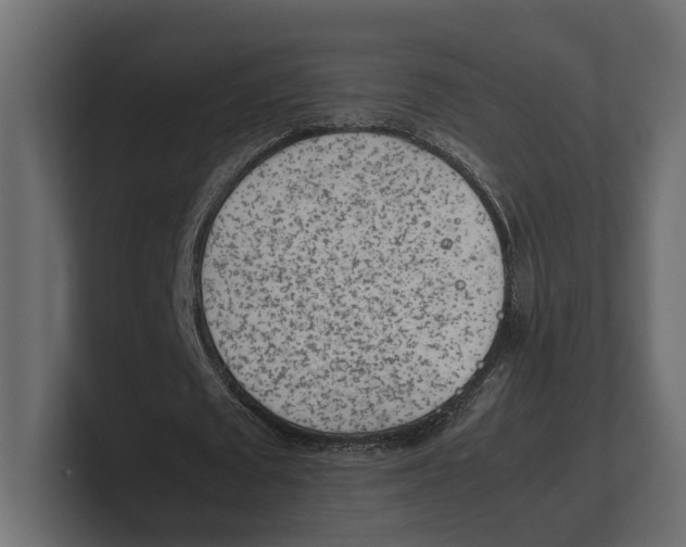 X0000100350673200806271402