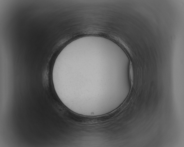 X0000100350675200806271402