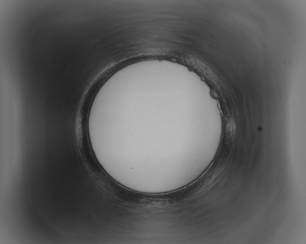 X0000100350676200806271402