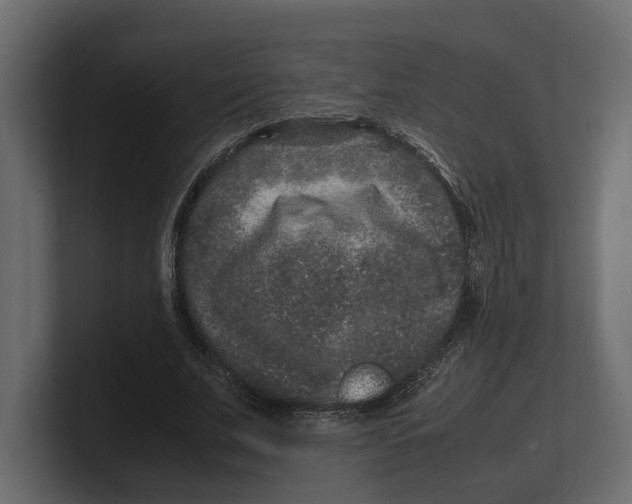 X0000100350679200806271402