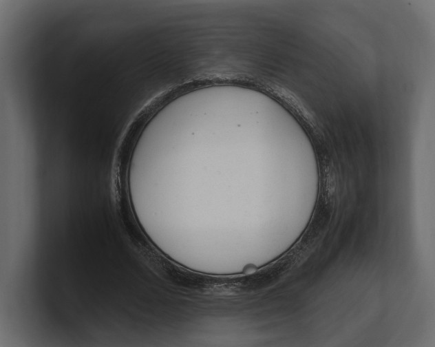 X0000100350680200806271402