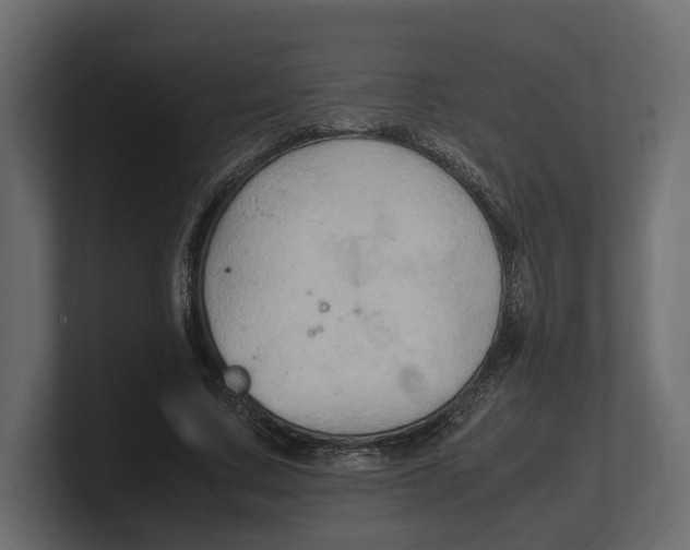 X0000100350683200806271402