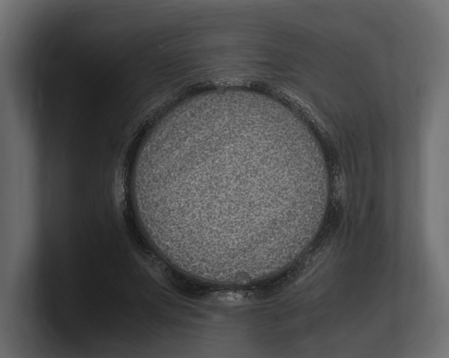 X0000100350687200806271402