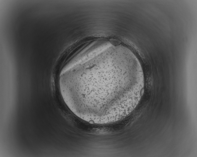 X0000100350688200806271402