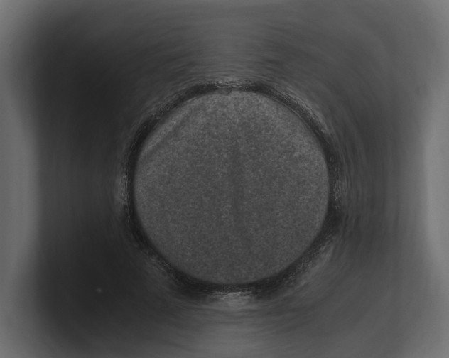 X0000100350689200806271402