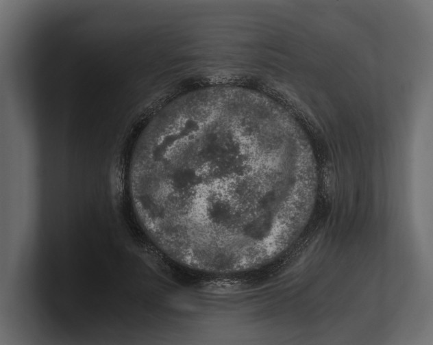 X0000100350691200806271402