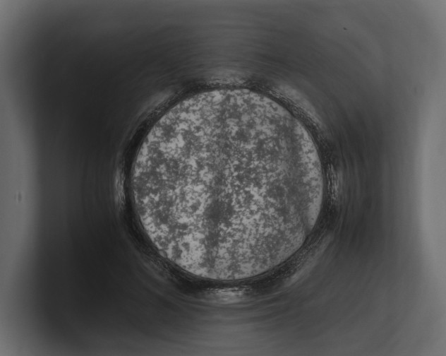 X0000100350692200806271402