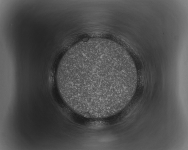 X0000100350695200806271402