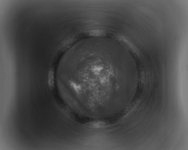 X0000100350696200806271402