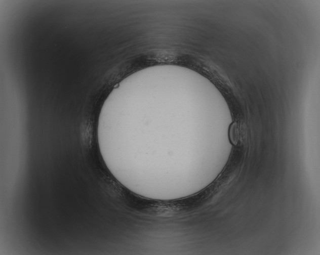 X0000100350697200806271402