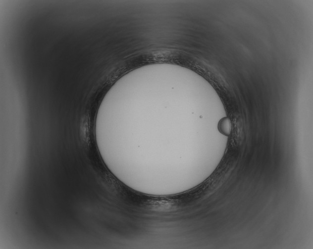 X0000100350698200806271402