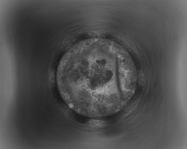 X0000100350699200806271402