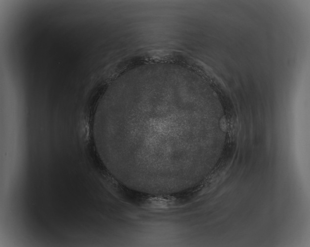 X0000100350703200806271402