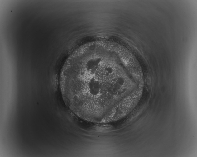 X0000100350707200806271402