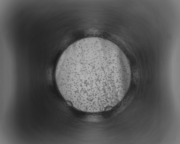 X0000100350708200806271402