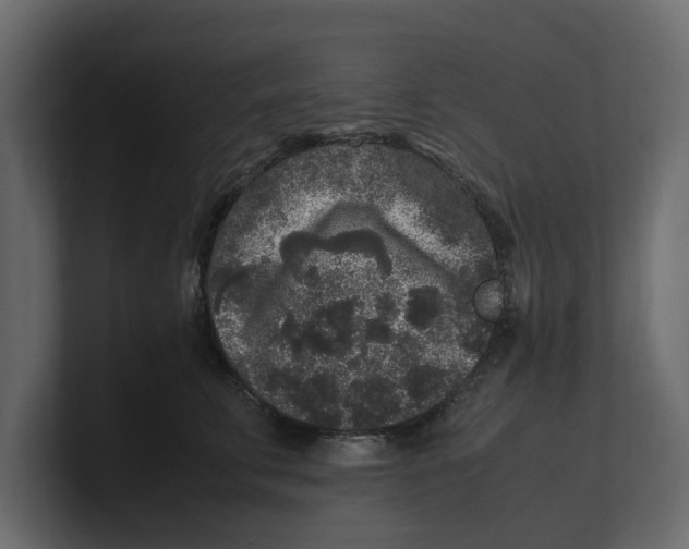 X0000100350711200806271402