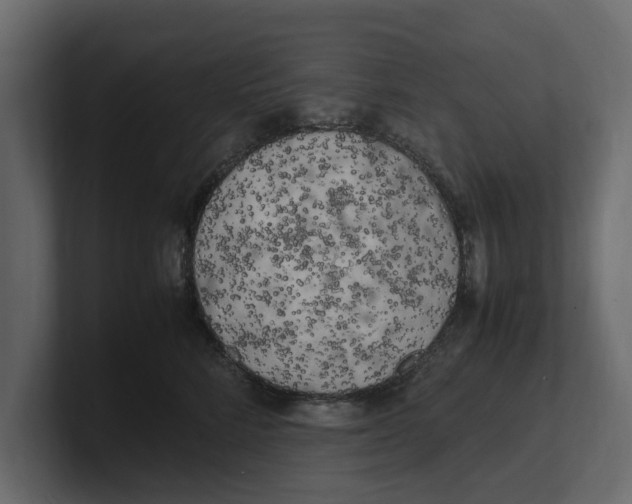 X0000100350712200806271402