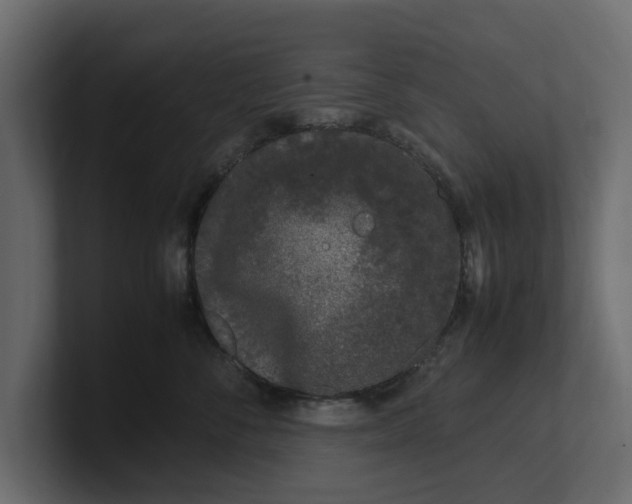 X0000100350716200806271402