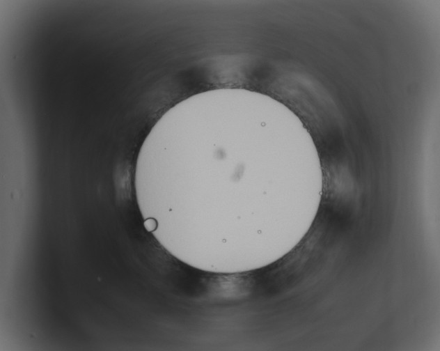 X0000100350717200806271402