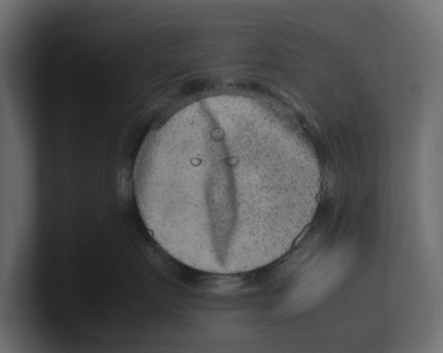 X0000100350719200806271402