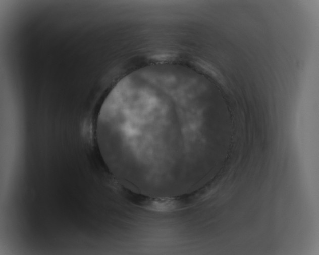 X0000100350720200806271402