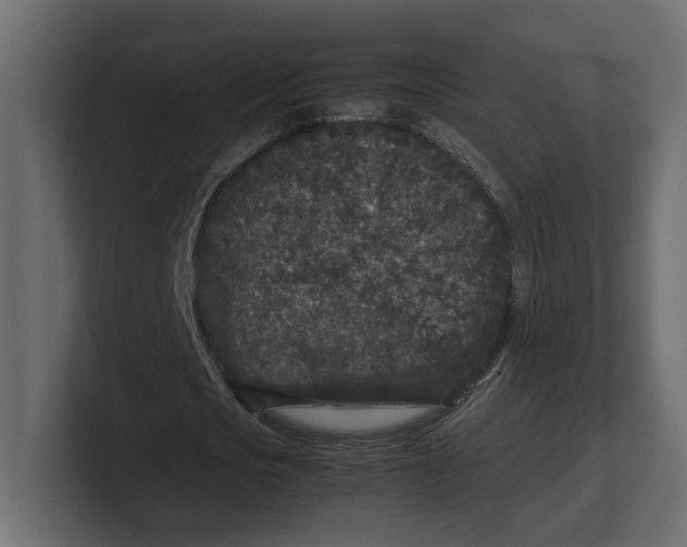 X0000100350721200806271401