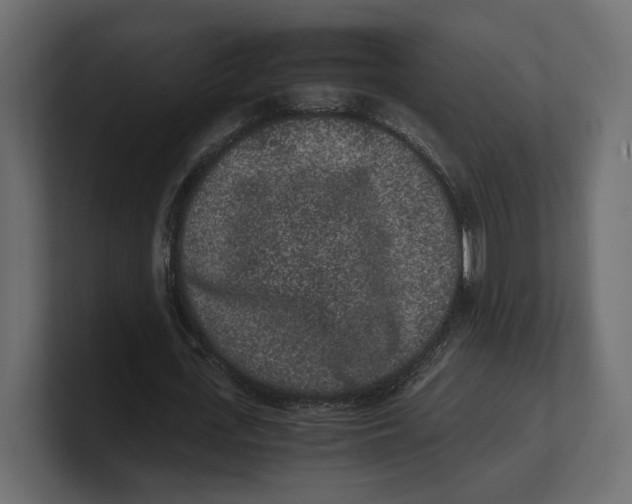 X0000100350723200806271401