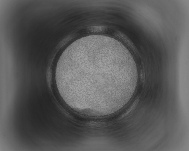 X0000100350725200806271401