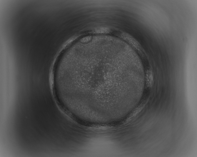 X0000100350726200806271401